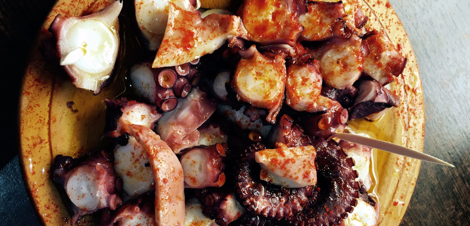 octopus---galicia-style